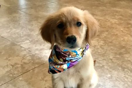 Creekside Animal Hospital