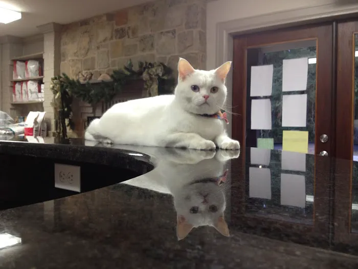 Creekside Animal Hospital 12