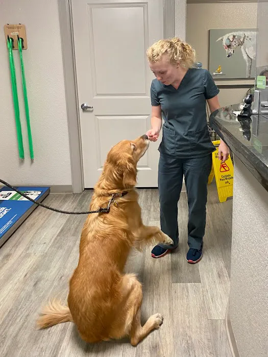 Creekside Animal Hospital 12