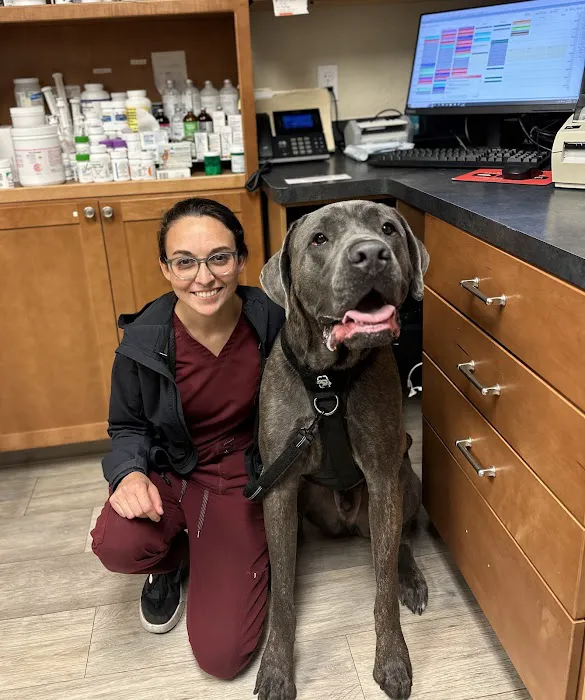 Creekside Animal Hospital 12