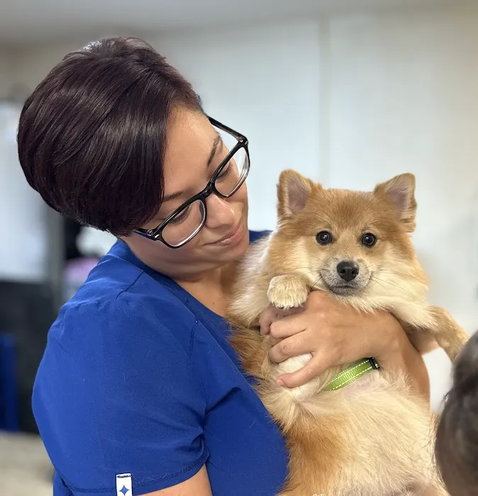 Creekside Animal Hospital 12