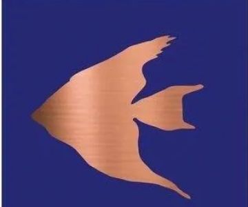 Copperfish Aquatics