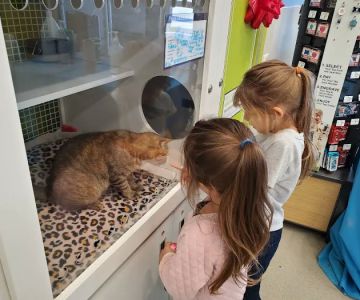 Petco