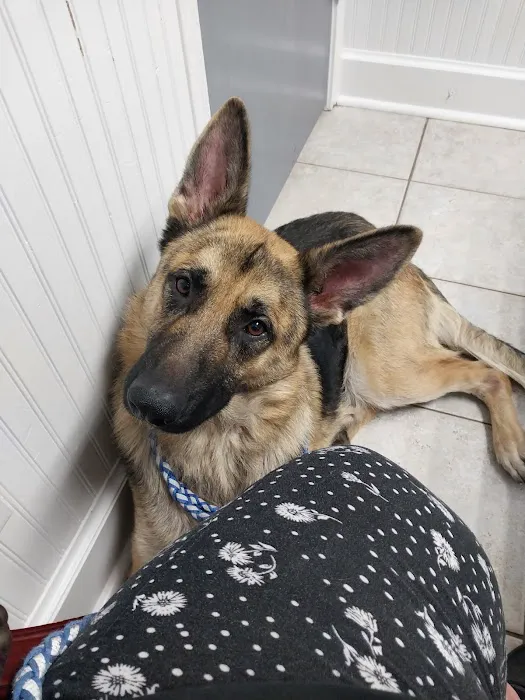 Woodlands Creek Animal Hospital 12