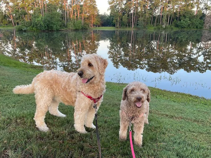 Woodlands Creek Animal Hospital 12