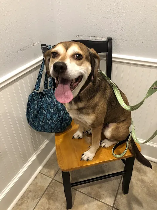 Woodlands Creek Animal Hospital 12