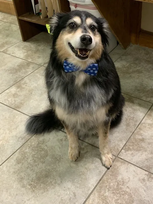 Woodlands Creek Animal Hospital 12