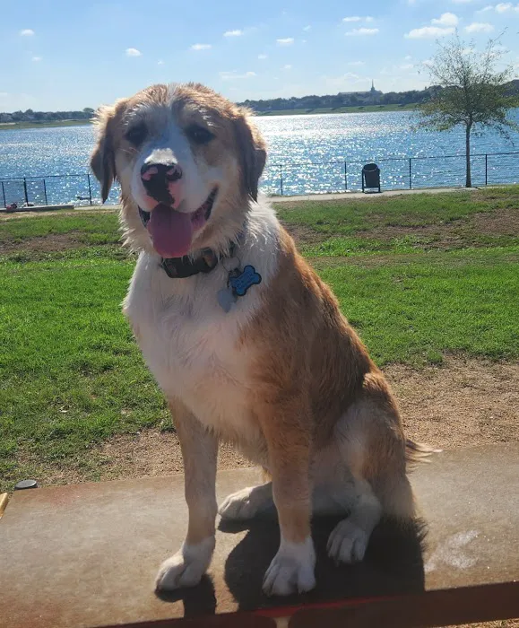 Spring Creek Animal Hospital 12