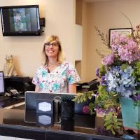 Spring Creek Animal Hospital ico