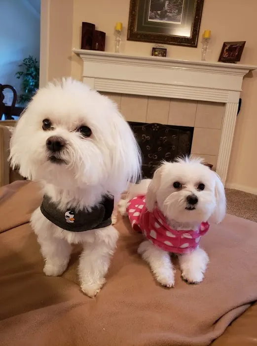 Spring Creek Animal Hospital 12
