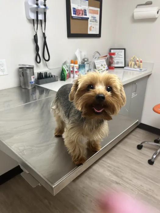 Panther Creek Pet Clinic 12