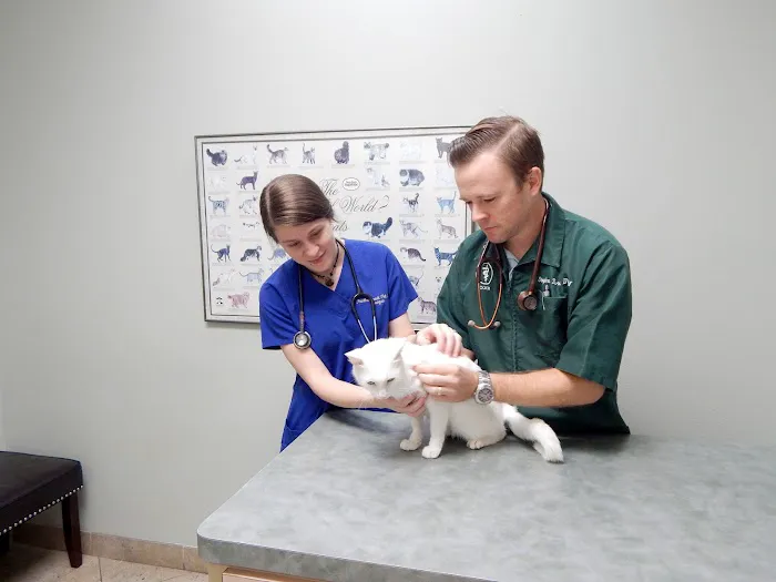 Panther Creek Pet Clinic 12