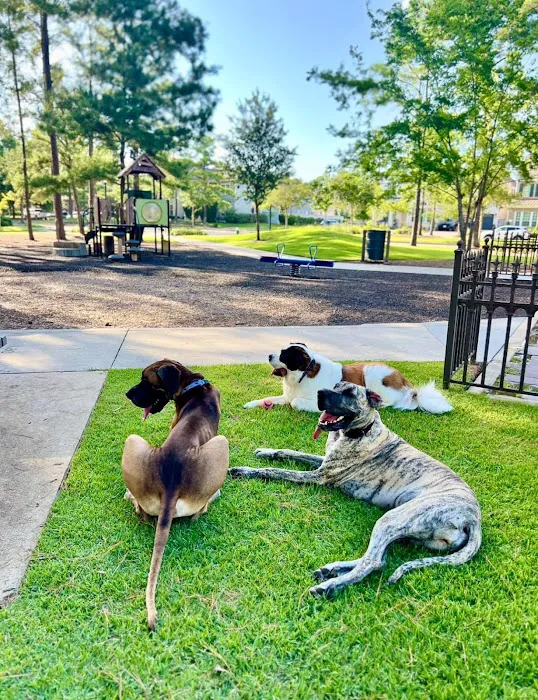 Panther Creek Pet Clinic 12