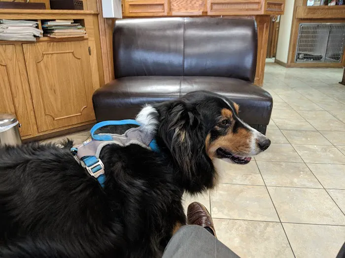 Tomball Animal Hospital 12