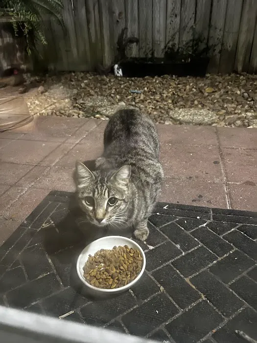 Texas Litter Control 4