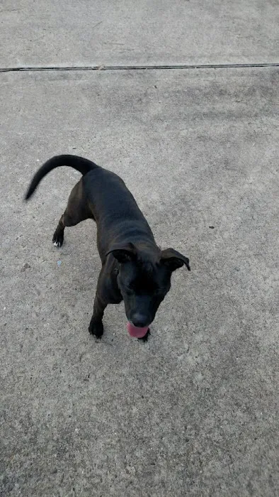 Texas Litter Control 10