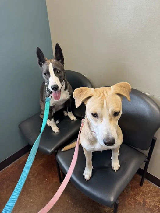 VCA Tomball Veterinary Hospital 12