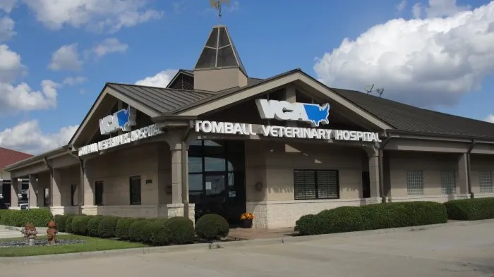 VCA Tomball Veterinary Hospital 12