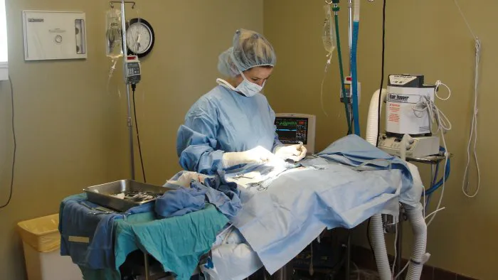VCA Tomball Veterinary Hospital 12