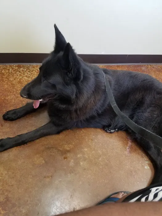 VCA Tomball Veterinary Hospital 12