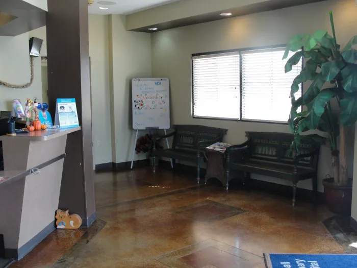 VCA Tomball Veterinary Hospital 12