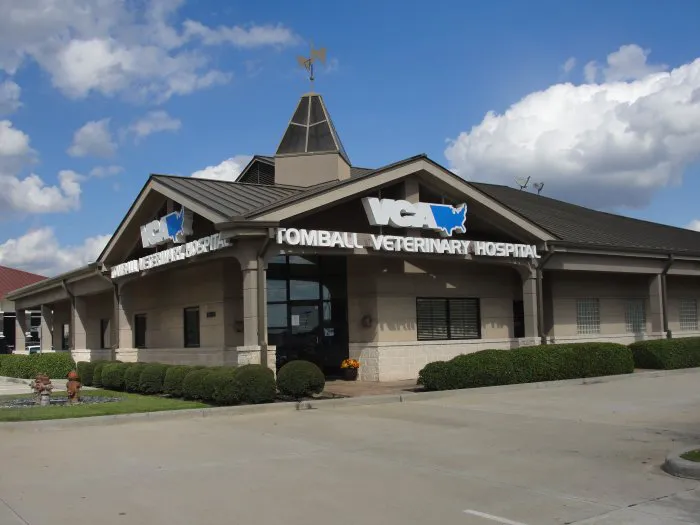 VCA Tomball Veterinary Hospital 12