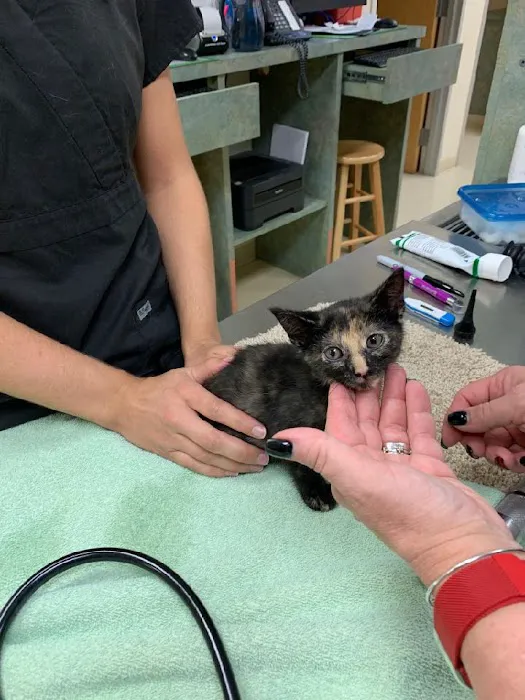 Animal Clinics Of The Woodlands - Indian Springs 12