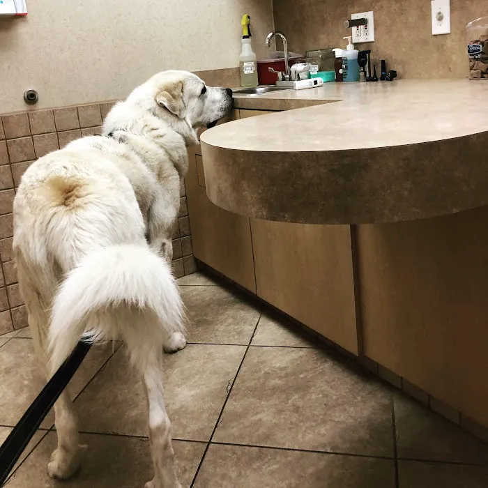 The Village Vet at Sterling Ridge 12