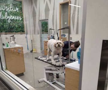 Petco