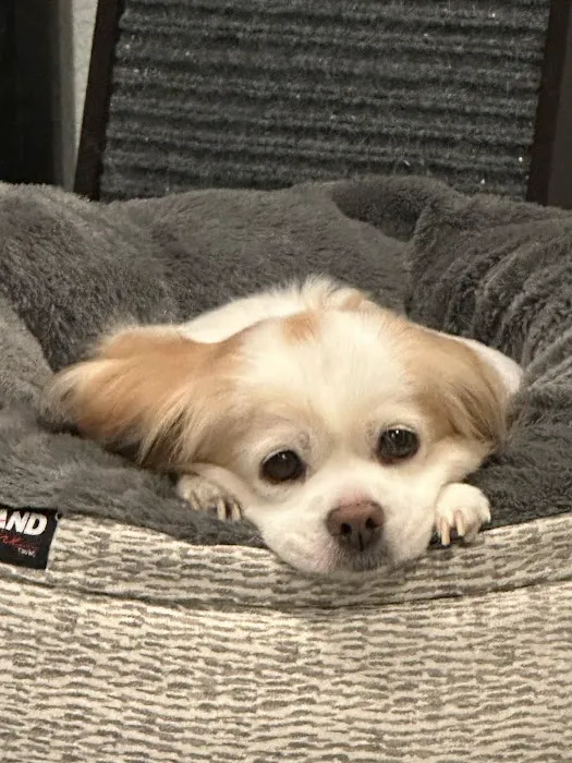 Banfield Pet Hospital 12