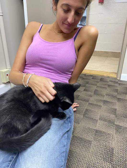 Animal Hospital of Roslyn 6