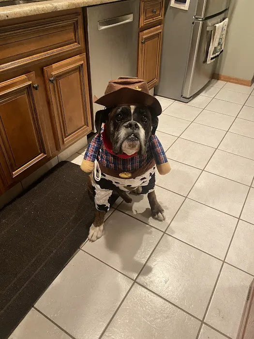 Animal Hospital of Roslyn 3