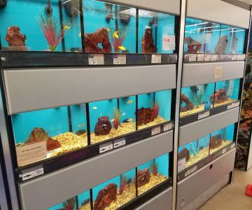 Petco