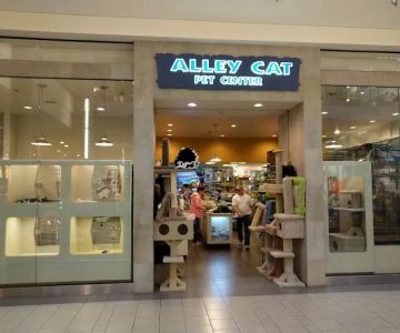 Alley Cat Pet Center