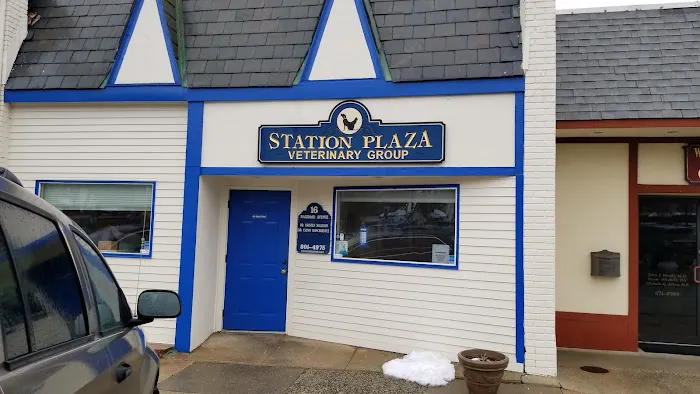 Station Plaza Veterinary Group 5