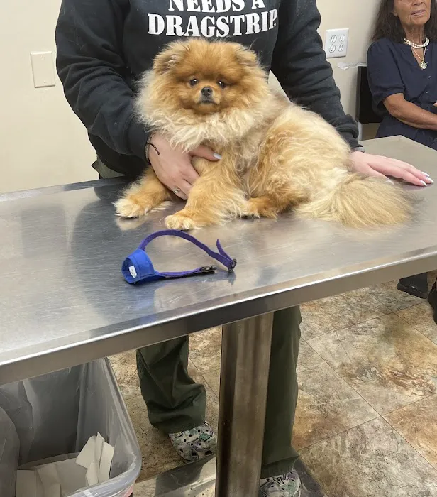 Station Plaza Veterinary Group 1