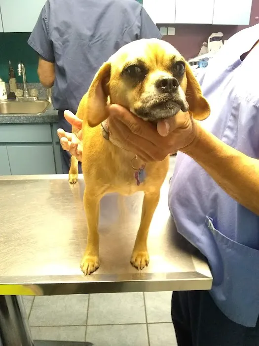 Brookville Animal Hospital 8