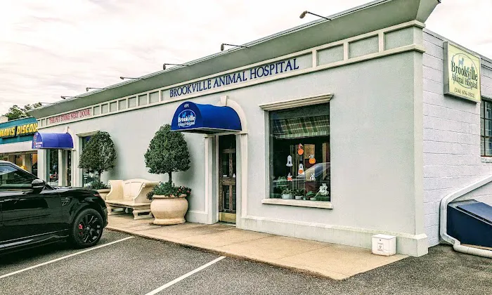 Brookville Animal Hospital 5