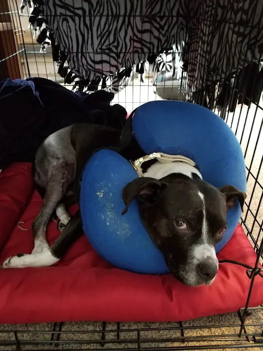 Brookville Animal Hospital 6