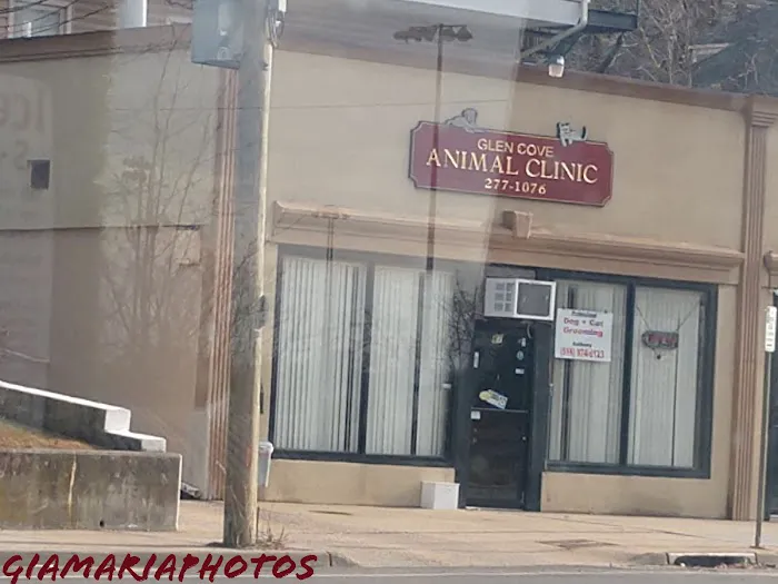Glen Cove Animal Clinic 4