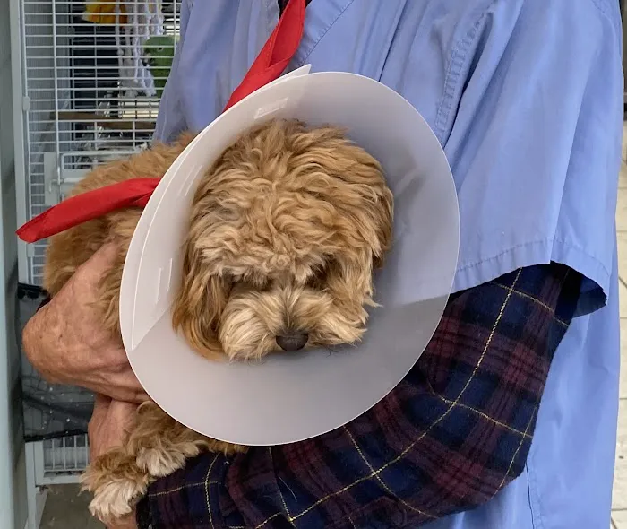 Glen Cove Animal Clinic 3