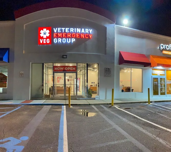 Veterinary Emergency Group 1