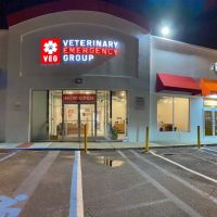 Veterinary Emergency Group ico