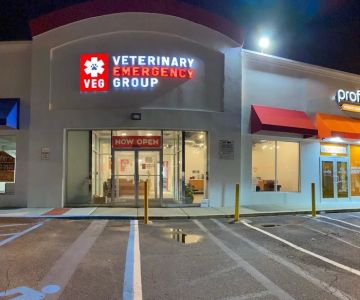 Veterinary Emergency Group