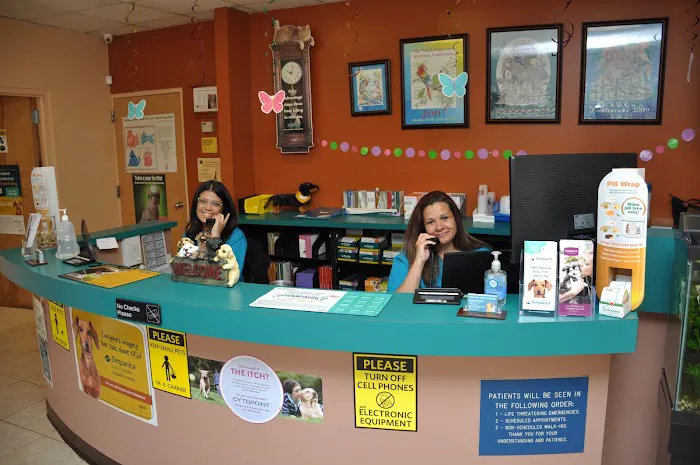 Animal Medical Hospital 6
