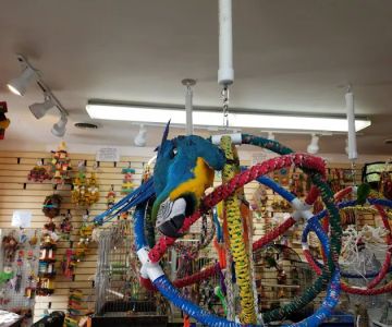 Bird Hut Inc.