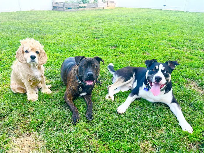 Broadway Veterinary Care 3
