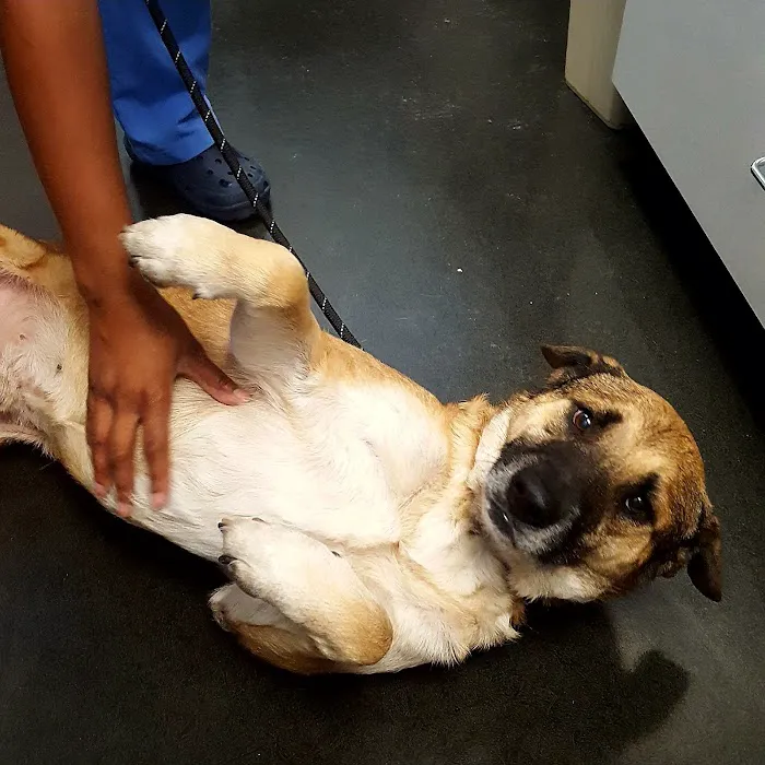 Broadway Veterinary Care 8