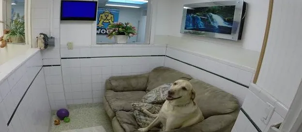 Hewlett Animal Hospital & Pet Resort 12