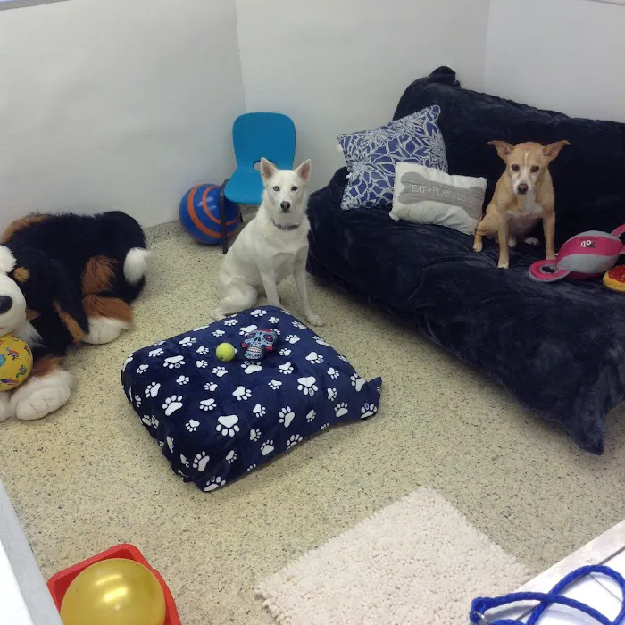 Hewlett Animal Hospital & Pet Resort 12